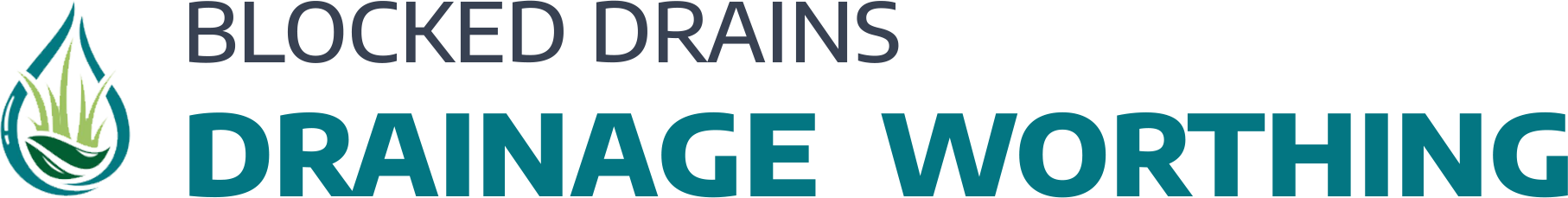 website logo